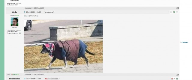 Представляю вашему вниманию...