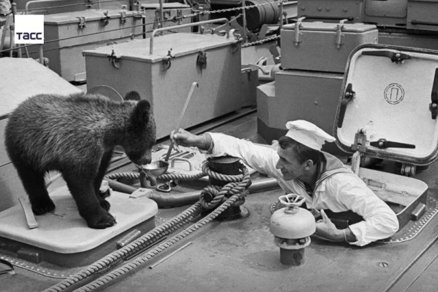 Фотографии из прошлого нашей страны – 63