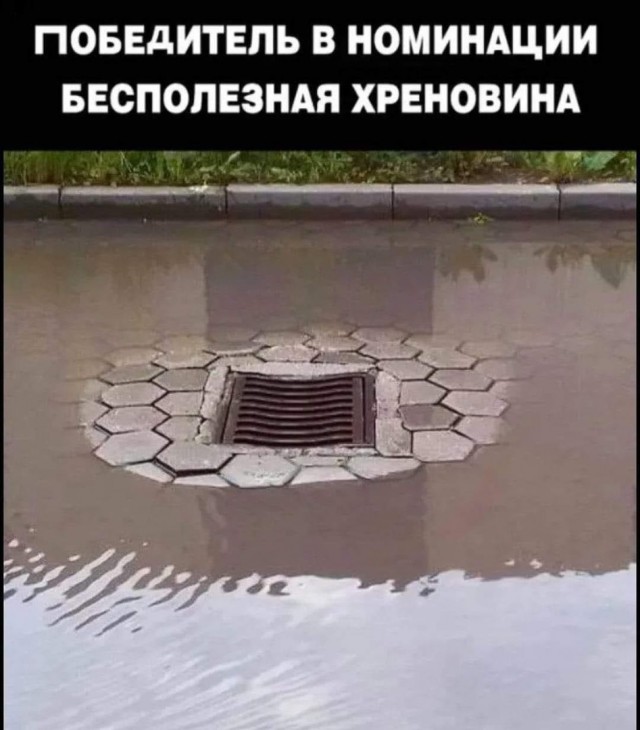 Так себе картинки 13.07.24