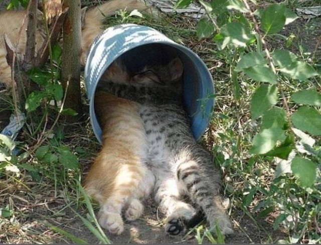 Скоро кончится лето. Это…