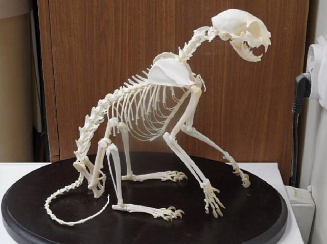Вопрос