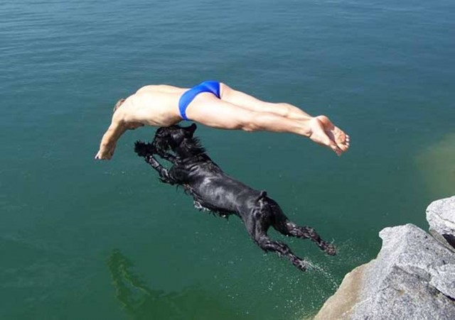 Собака - слюдьминыряка