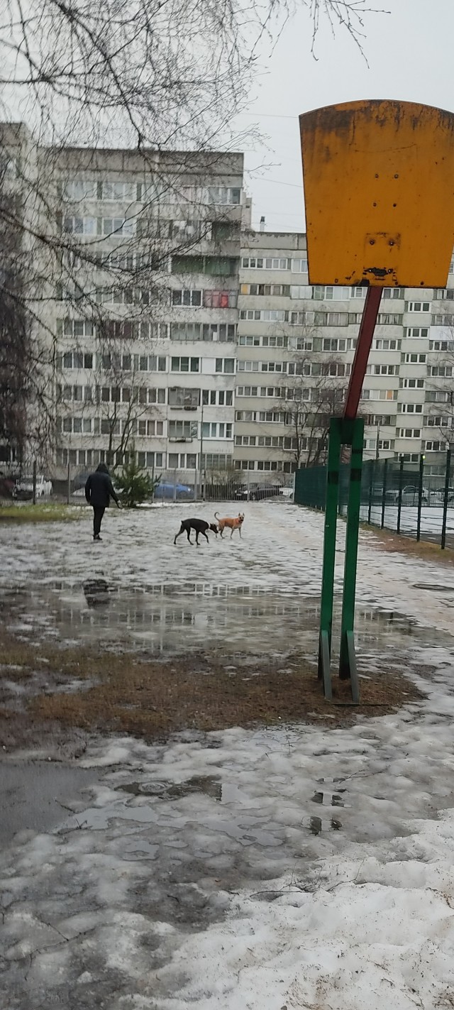 "– Здравствуйте! А это место выгула собак?  – Тебя е*ёт, что ли? Иди нах*й!"