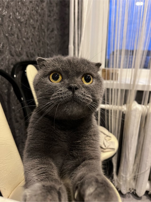 Ушел на радугу