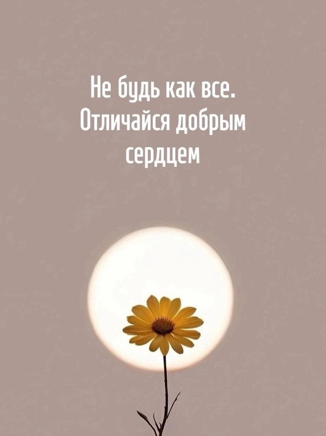 Прикольные и просто красивые картинки 06.05.2025