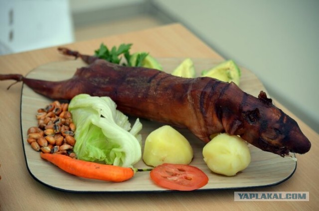 Свиной папа
