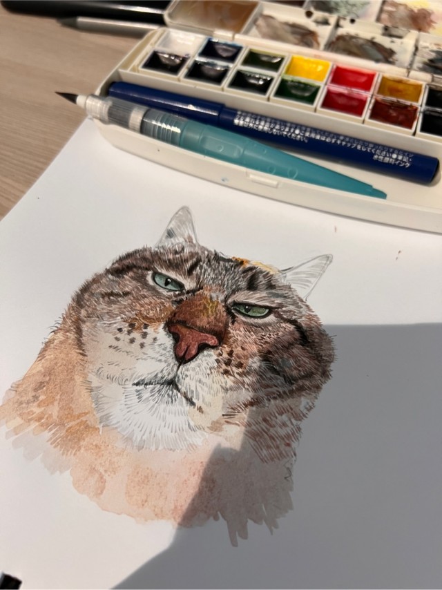 Котовторник страдания на работе