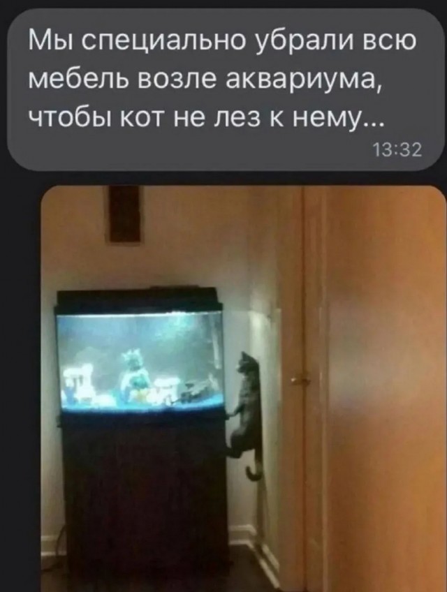 Завалялось тут случайно немного забавных картинок