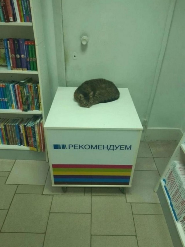 Прикольные и просто красивые картинки