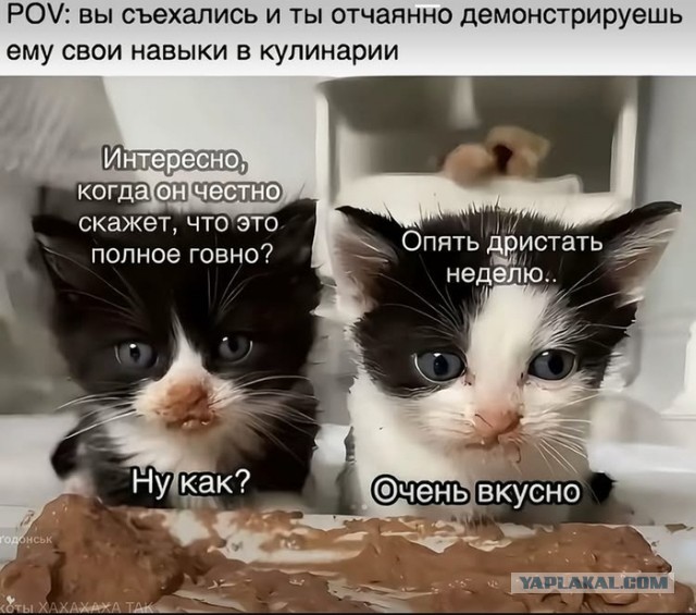 Картинки для деградации 43 (разной степени свежести)