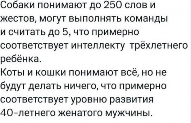 Самокат это диагноз..