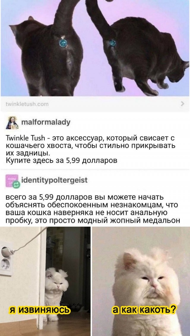 Так себе картинки 17.09.25