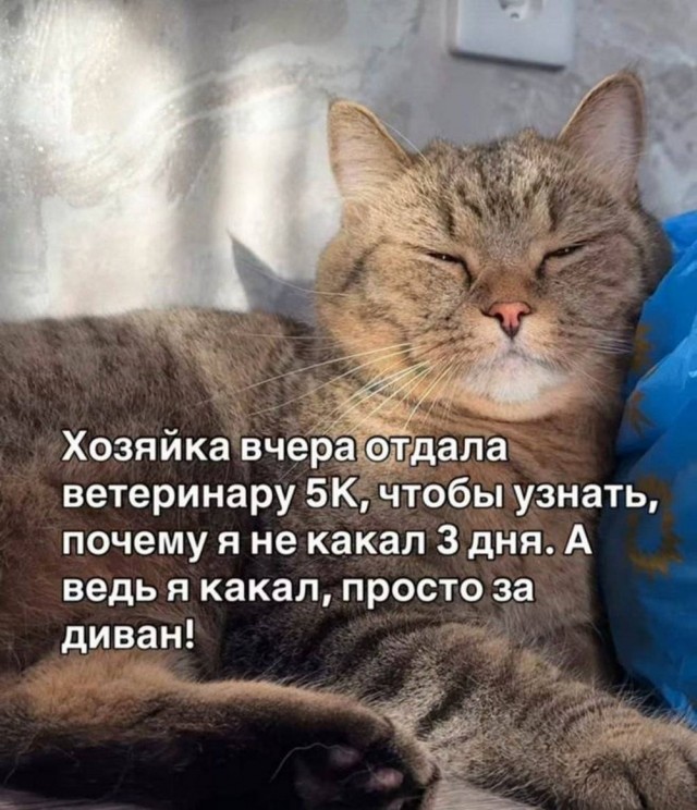 Веселые картинки в понедельник (13.10)
