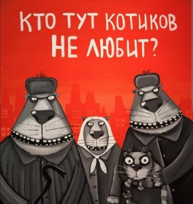 Я не люблю кошек.