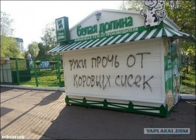 Картинки для деградации 102 (разной степени свежести)