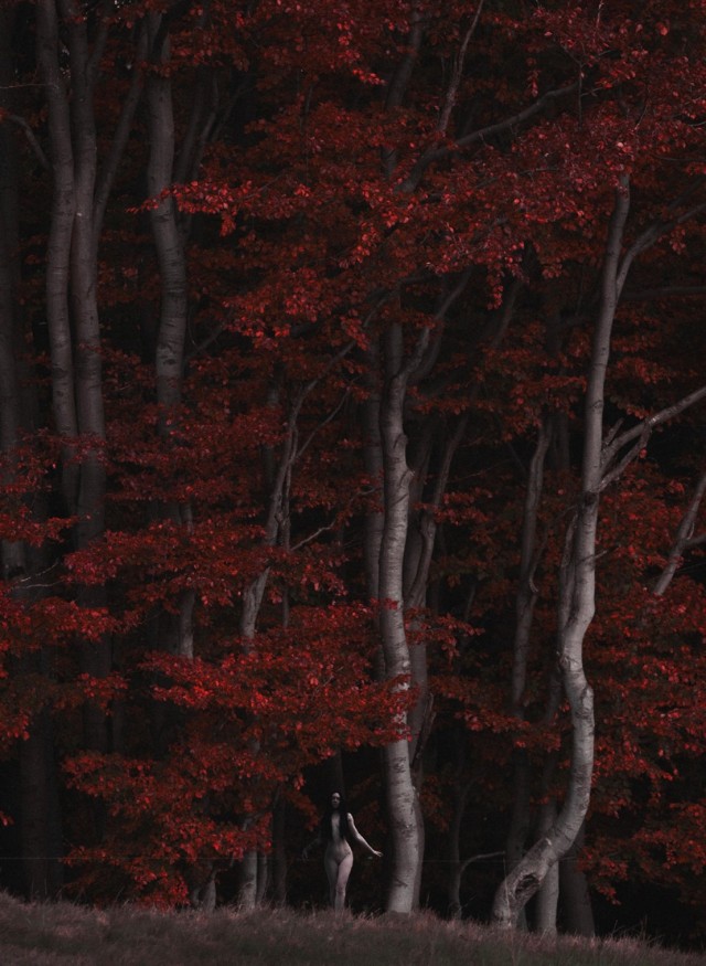 Мрачноватые тётеньки