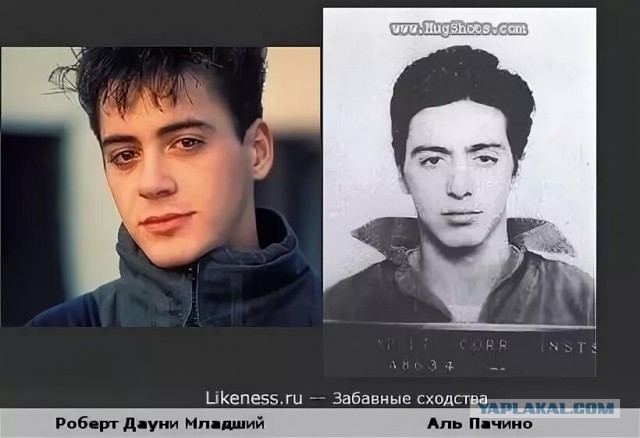 Фото из полицейского участка
