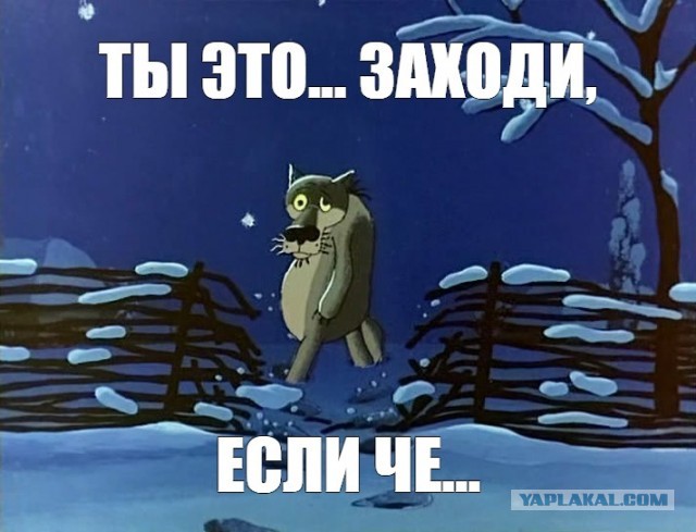 Этот кот на нейтральной стороне