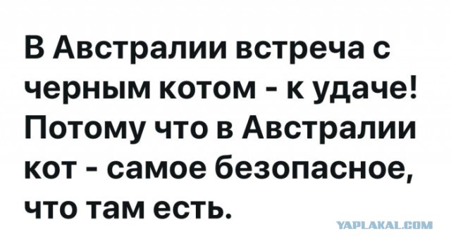 Картинки для деградации 137 (разной степени свежести)