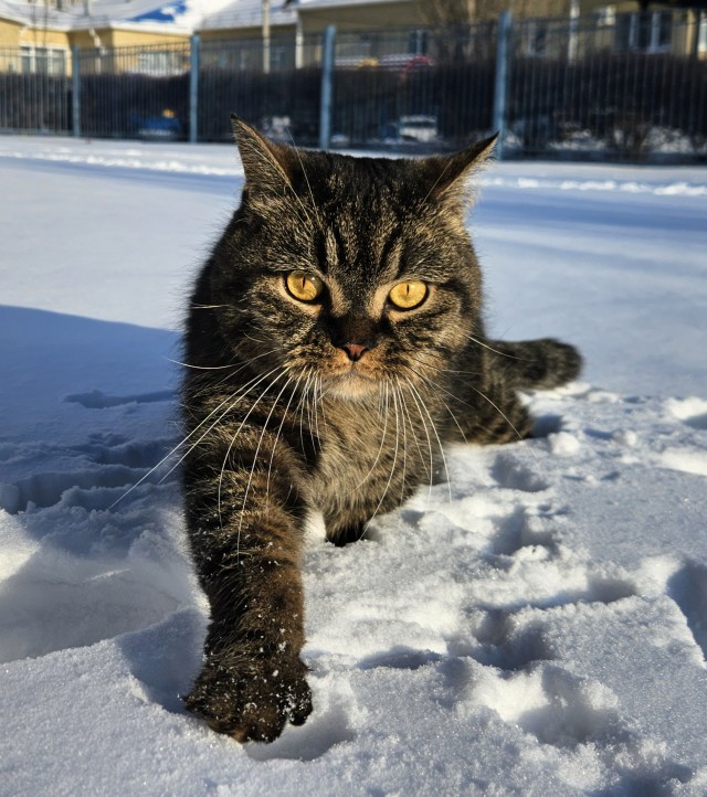 Всем Здравствуйте