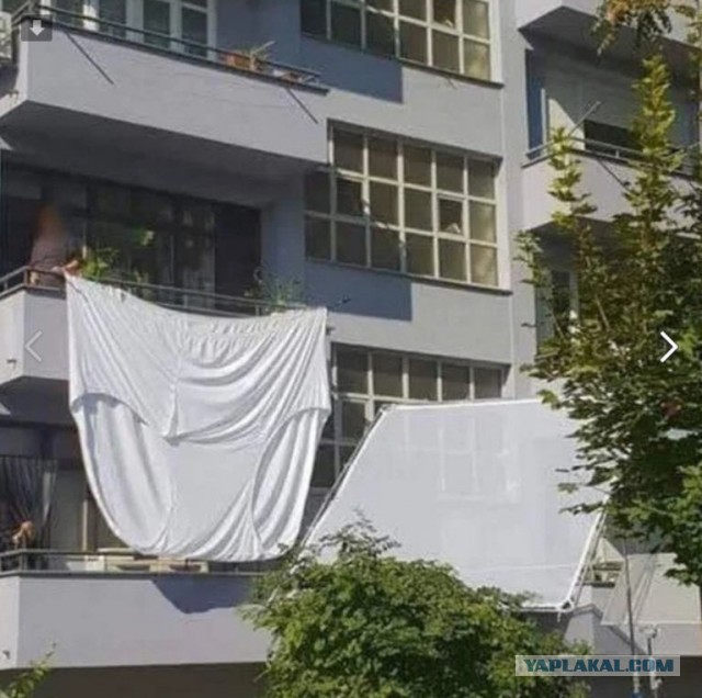 Трусы́
