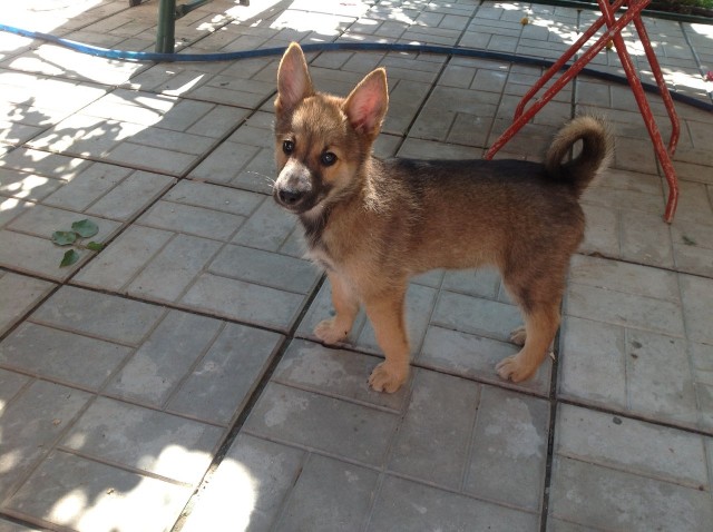 Эх! Не нарадуюсь!