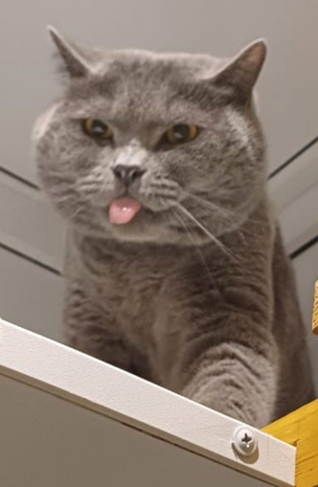 Уже можно!