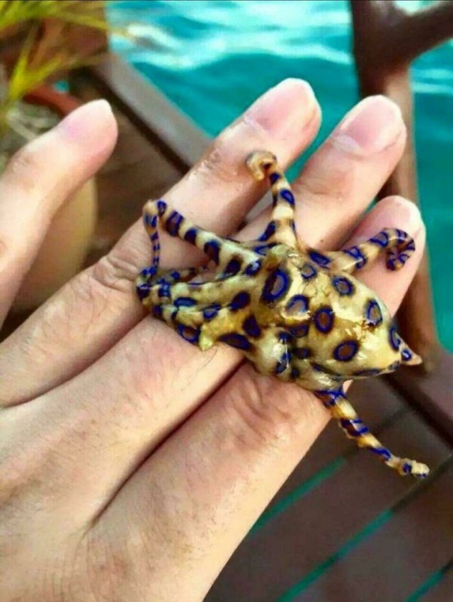 За секунду до...