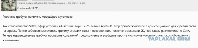 Треш-стримеры, которые убили кролика ради донатов, порезали своего друга во время прямого эфира. Его госпитализировали