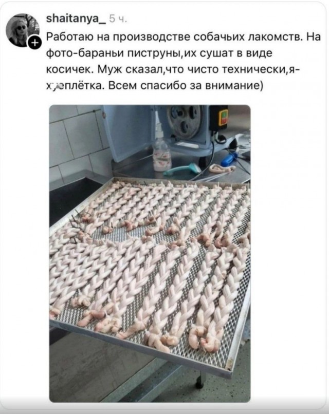 А кто тогда животные, которые это едят?