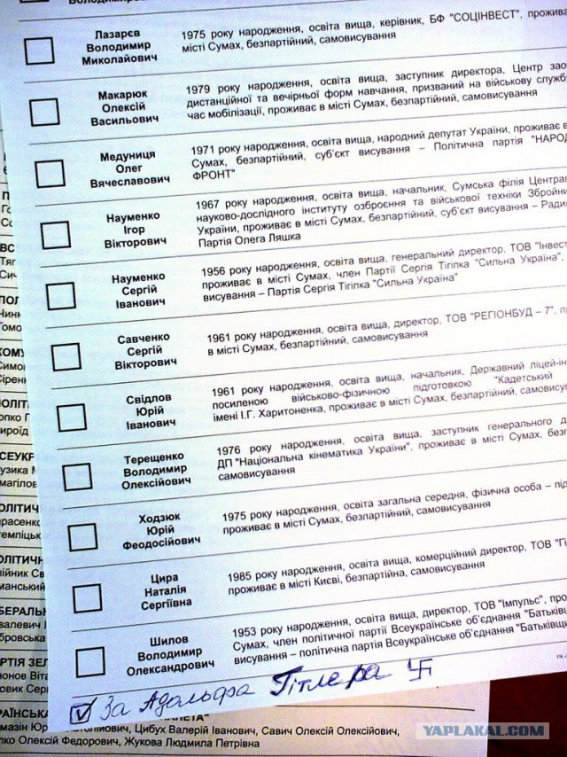 Выборы-2014: испорченные бюллетени