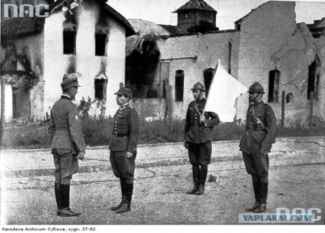 40 удивительных исторических фотографий