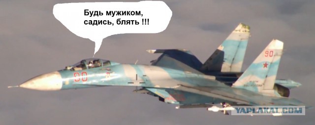 Су-27 перехватил португальский Орион P-3