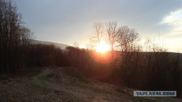 Карпаты