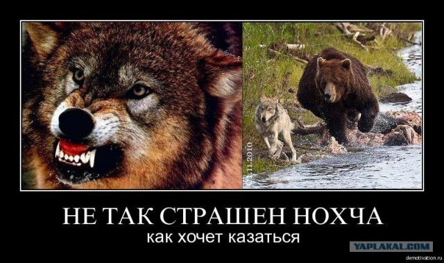 Судьба "антирусских нокаутёров" в Екатеринбурге