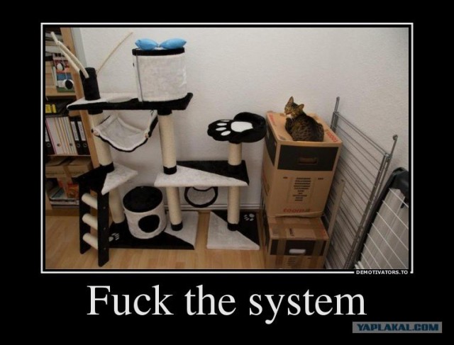 Домик для котейки