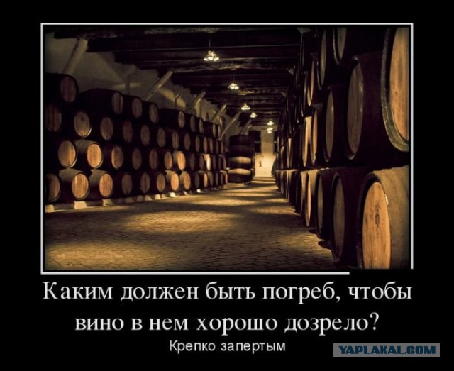 Картинки + гифки.
