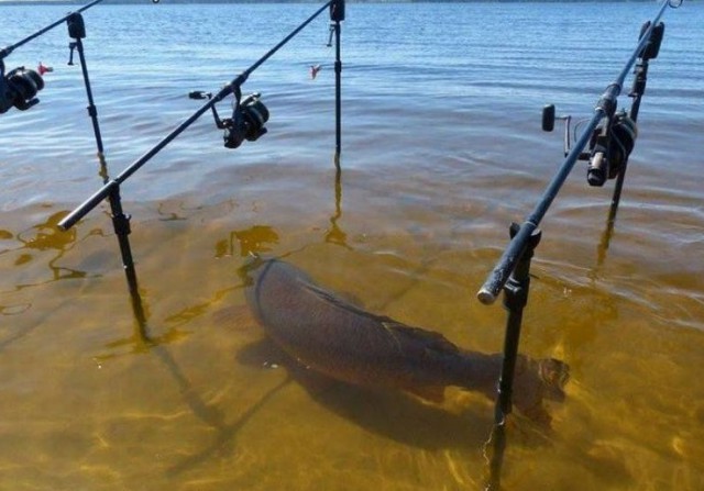 Подборка прикольных фото на пятницу