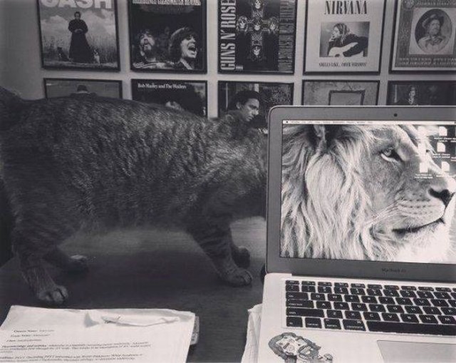 Подборка картинок