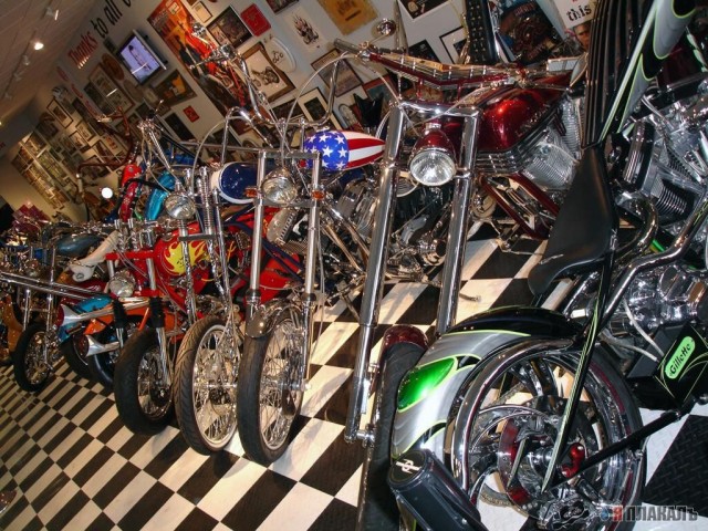 Occ Shop