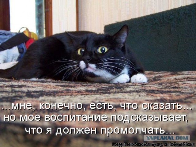Когда в семье растет подлец