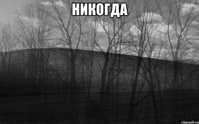 Мужик решил, что пришло время взять себя в руки