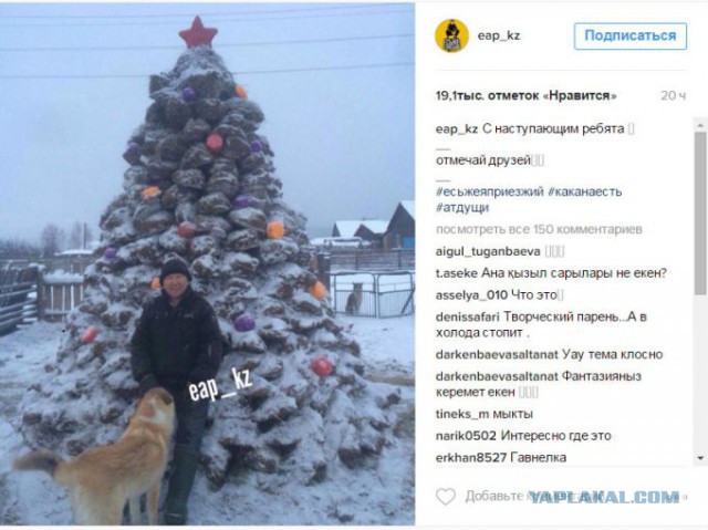 Новогодний креатив: Аульчанин собрал елку из навоза