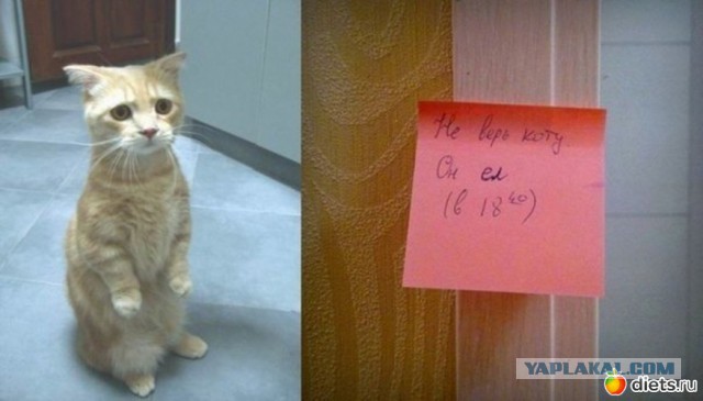 Котлеты вот жарим