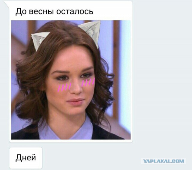 Диана Шурыгина вновь появится на Первом канале в шоу Малахова