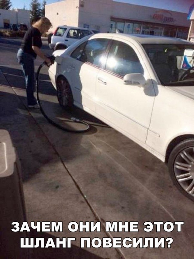 Смешные картинки