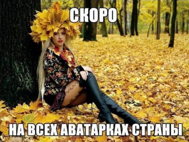 184 картинки для поднятия настроения!