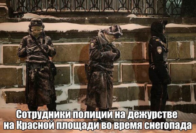 Забавные фото с надписями