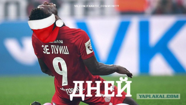 Беседка ФиС ЯПа 2