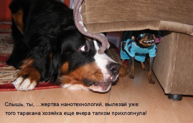 Деградашки на пятницу